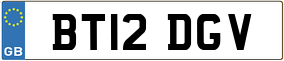 Truck License Plate